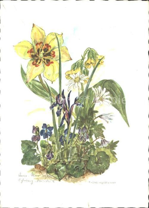 Blumen Frühlingsblumen