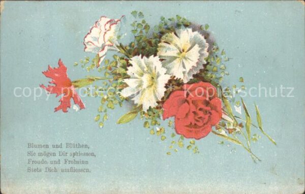 Rosen Nelken Gedicht Litho