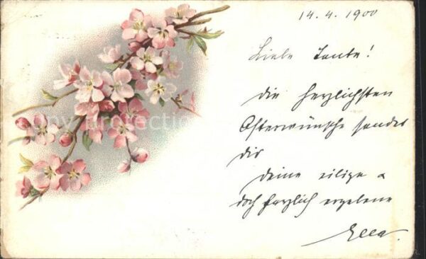 Blumen Litho