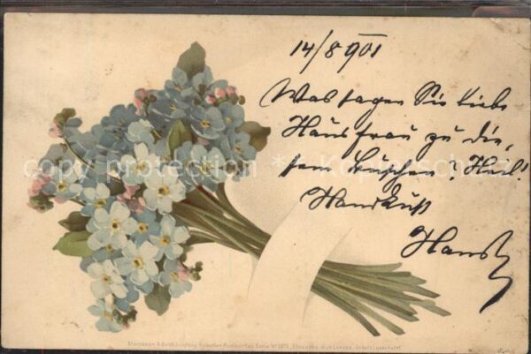 Blumen Vergissmeinnicht Litho
