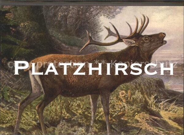 Fernsehen TV Platzhirsch Dahoam is Dahoam Bayerische