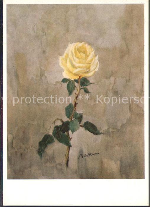 Kuenstlerkarte Hermann Böcker Gelbe Rose