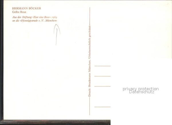 Kuenstlerkarte Hermann Böcker Gelbe Rose – Bild 2