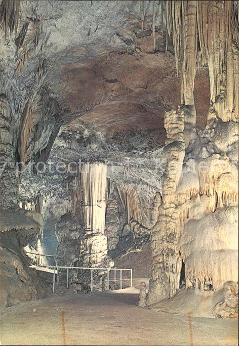 Postojnska Jama grotte caves