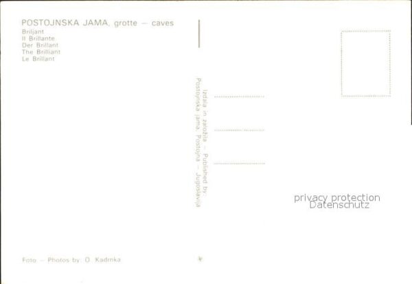 Postojnska Jama grotte caves – Bild 2