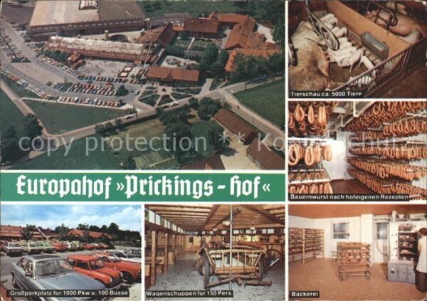Sythen Europahof Prickings Hof Bauernhof Tiers