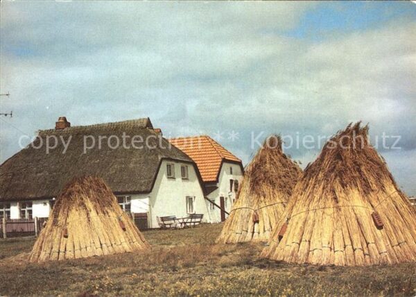 Insel Hiddensee Reetdachhaus Schilfrohr