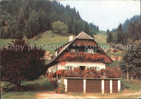 Hinterglemm Saalbach Wieseralm