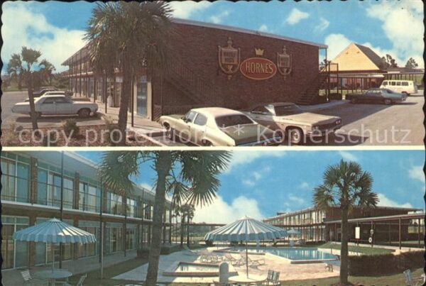 Gainesville Florida Hornes Motor Inn Swimmingpool