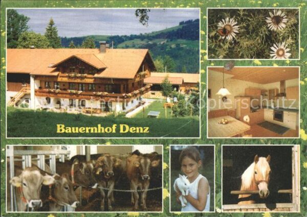 Oberstaufen Bauernhof Denz Landwirtschaft Kühe Hafl