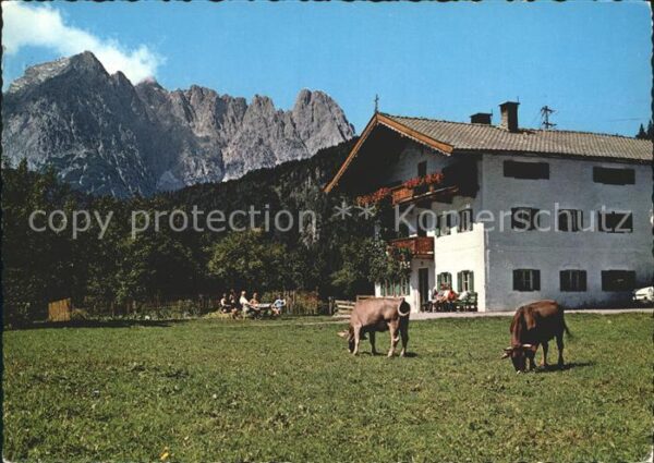 Gasteig Kirchdorf Innerwiesenhof Wilder Kaiser