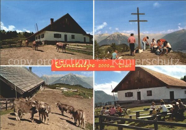 Imst Tirol Venetalpe Alm Kühe Gipfelkreuz