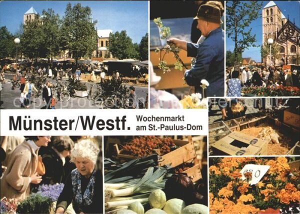 Muenster Westfalen Wochenmarkt am St Paulus Dom