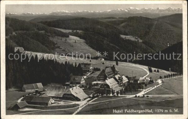 Feldberg Schwarzwald Hotel Feldberger Hof Alpenkette