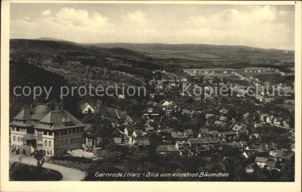 Gernrode Harz Panorama Blick vom einzelnen Bäumchen