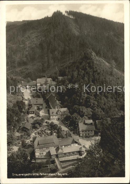 Ludwigsstadt Brauereigaststätte Falkenstein