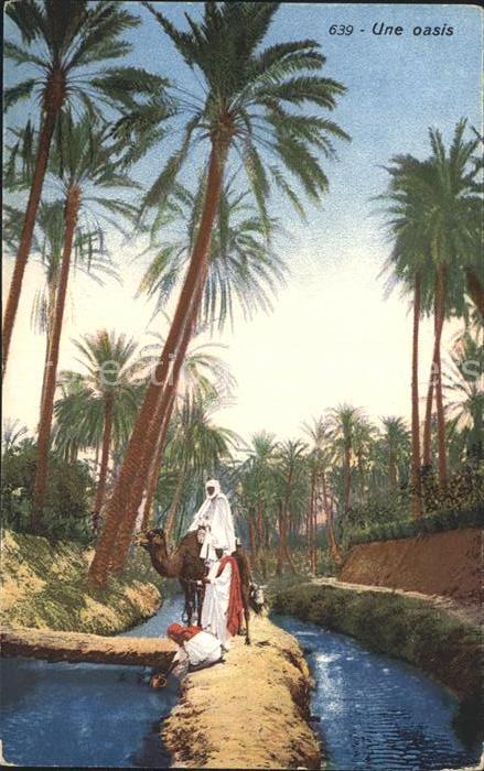 Nomaden Nomades Beduines Une oasis Kamel