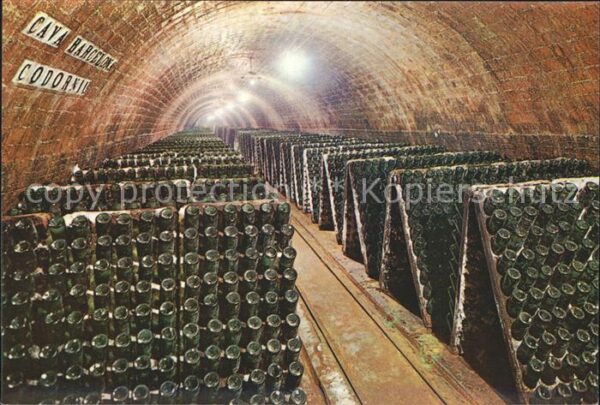 Wein Cavas Codorniu Flaschen in Pulten