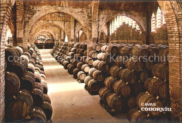 Wein Cavas Codorniu Weinkeller