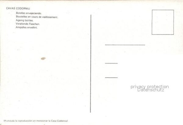 Wein Cavas Codorniu Veraltende Flaschen – Bild 2