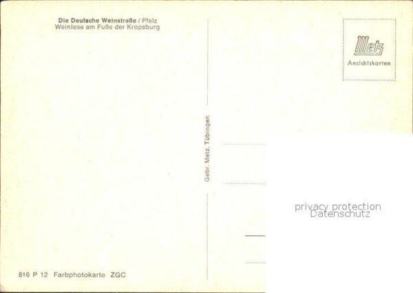 Ernte Landwirtschaft Weinlese Kropsburg Deutsche Weinstrasse – Bild 2