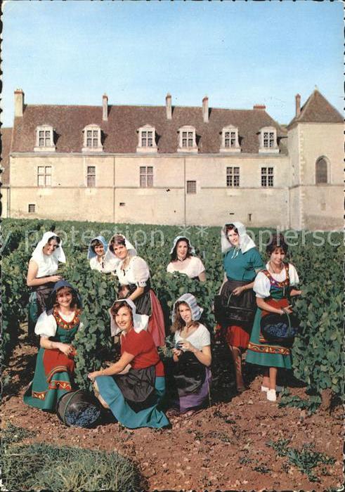 Ernte Landwirtschaft Weinlese Vendange Bougogne Clos de Voug