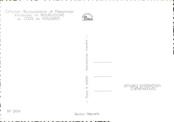 Ernte Landwirtschaft Weinlese Vendange Bougogne Clos de Voug – Bild 2