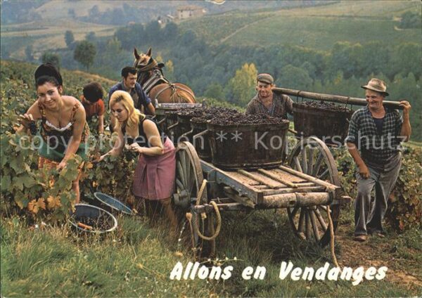 Ernte Landwirtschaft Weinlese Vendange Humor