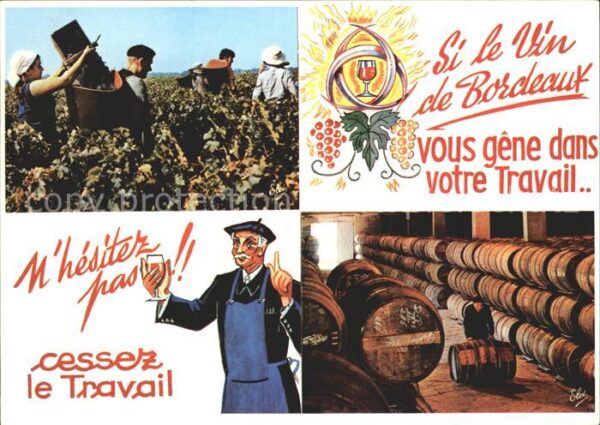 Wein Weinlese Vendage Chai a vin Maxime Giro