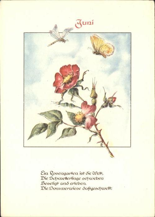 Monatskarte Juni Libelle Schmetterling Rosen Gedich