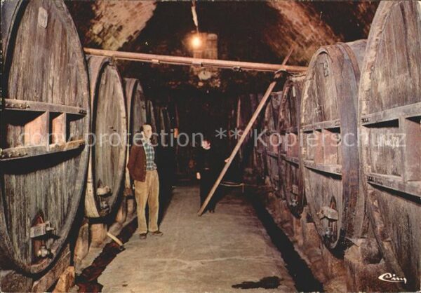 Wein Sollies-Ville Domaine de la Castille Ca