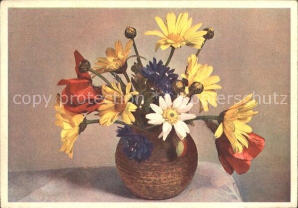 Blumen Margeriten