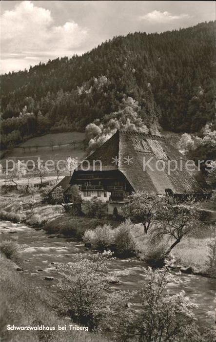 Triberg Schwarzwald Schwarzwaldhaus