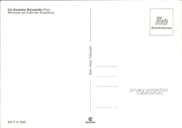 Kropsburg Weinlese – Bild 2