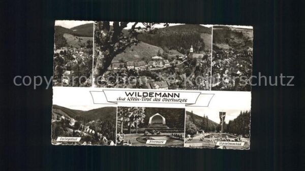 Wildemann