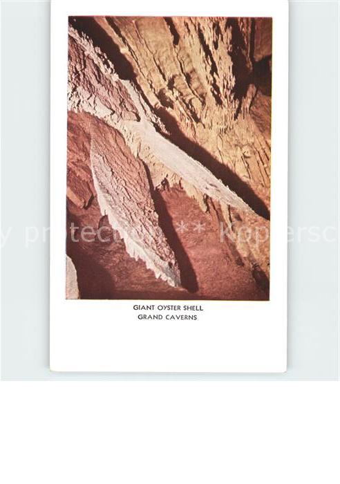 Hoehlen Caves Grottes Giant Oyster Shell Grand Caverns Virgin