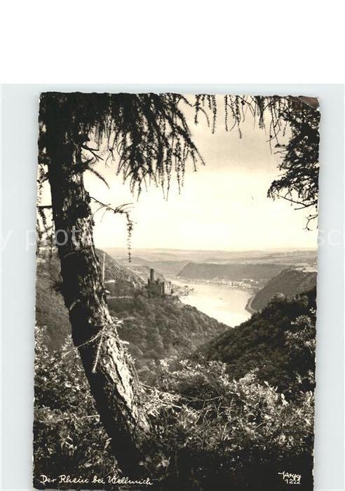 Foto Popp Nr. 1222 Wellmich