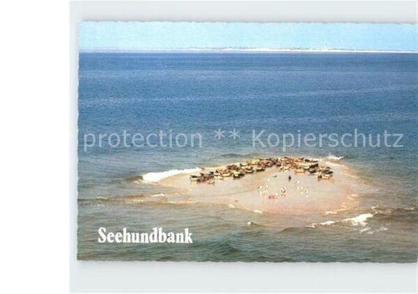Seehunde Robben Seehundbank Wattenmeer Nordsee Fliegera