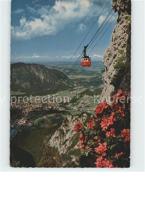 Seilbahn Predigtstuhl Bad Reichenhall