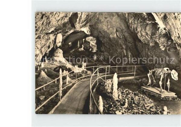 Hoehlen Caves Grottes Rübeland Hermannshöhle Bärenfriedhof Ka