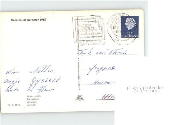 Reh Garderen – Bild 2
