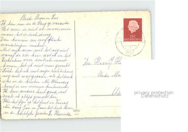 Hirsch – Bild 2