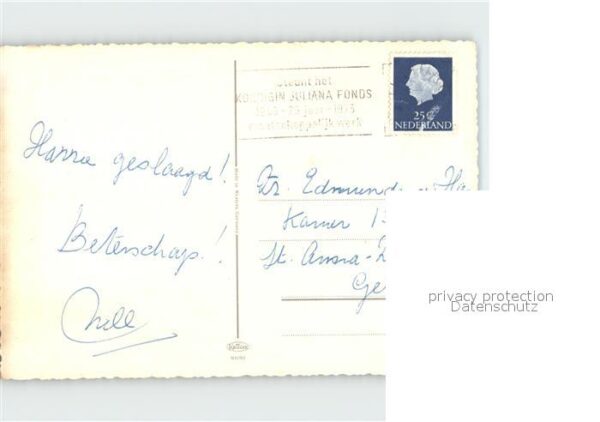 Reh – Bild 2