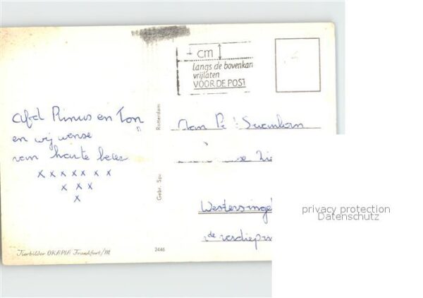 Loewe Löwin – Bild 2