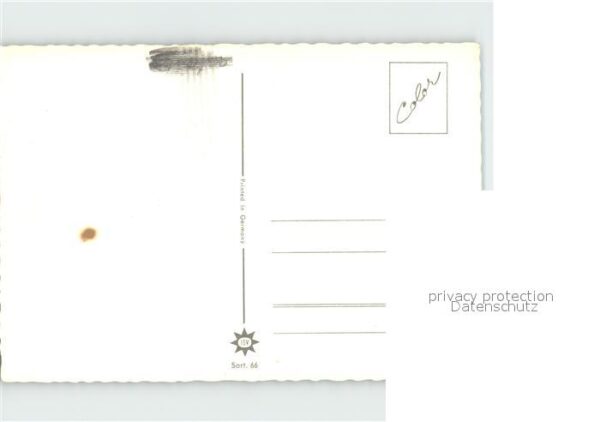 Schafe – Bild 2