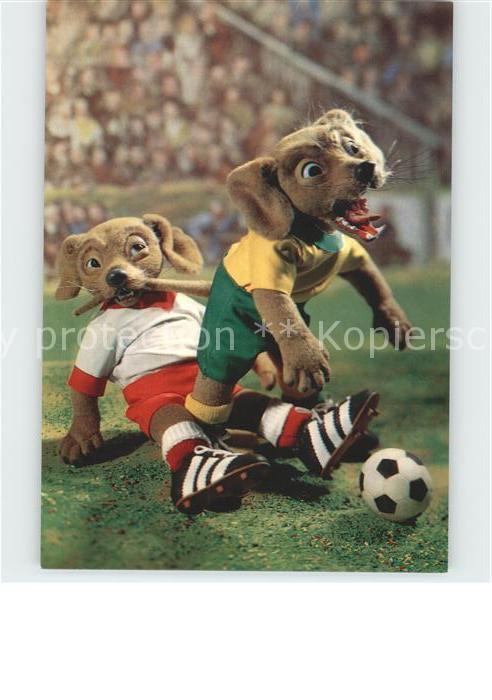 Fussball Hunde Waggi-Cup-Serie