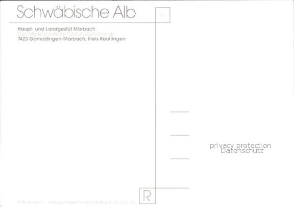 Marbach Gomadingen Pferd – Bild 2