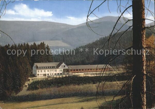 Rinsecke Hirschfreigehege Rothaargebirge Waldhau