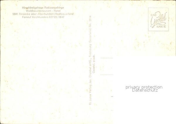 Rinsecke Hirschfreigehege Rothaargebirge Waldhau – Bild 2