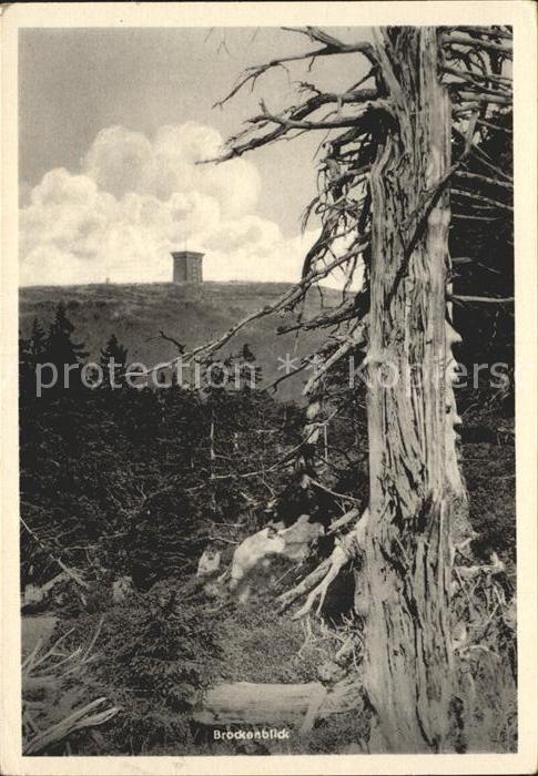 Brocken Harz